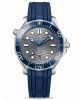 Seamaster Diver 300M Master Co-Axial 42 Stainless Steel / Grey /  Rubber