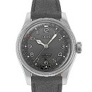 Oris Big Crown Pointer Date von Oris