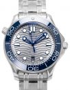 Omega Seamaster Diver 300M Co-Axial Master Chronometer 210.30.42.20.06.001, Strichindizes, 2020, Ungetragen, Gehäuse Stahl, Band: Stahl von Omega