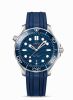 Seamaster Diver 300M Master Co-Axial 42 Stainless Steel / Blue  / Rubber