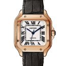 Cartier Santos von Cartier