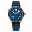 Omega Seamaster Diver 300M Co‑Axial Master Chronometer 42 mm 210.62.42.20.03.001 von Omega