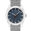 Omega Seamaster Railmaster von Omega