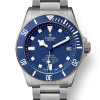 Tudor Pelagos