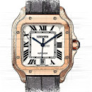 Cartier Santos von Cartier